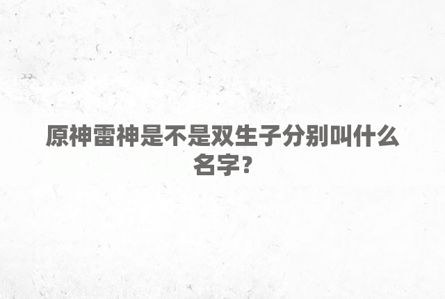 原神雷神是不是双生子分别叫什么名字？